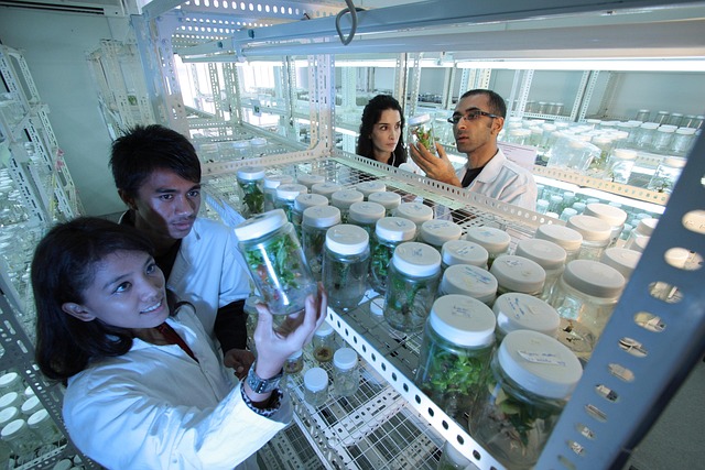 聚氨酯陽聚劑對水性聚氨酯涂料流平性、流掛性和施工性的影響研究