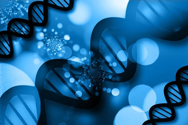 如何通過調整硅PU厚涂快干劑的用量，實現對涂料固化速率的精確控制，以適應不同的施工條件。